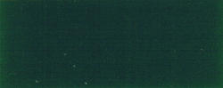 ORACAL751 060 DarkGreen 1000mm10m