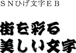TrueTypeFontSNҤʸEB