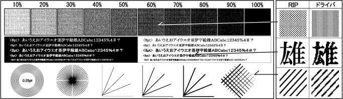 オンライン限定商品 ロール紙 ラベルの中川ダイレクトバックライトフィルム 172B 914mm×30M 2本セット 大判インクジェットロール紙  プロッター用紙