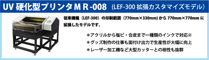 mr-008(lef-300ĥǥ)